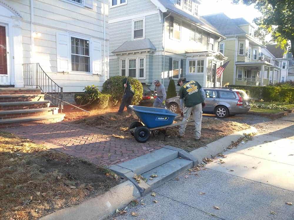 New Lawn Installs